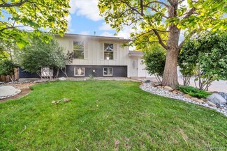 9725 Elizabeth St, Thornton, CO 80229