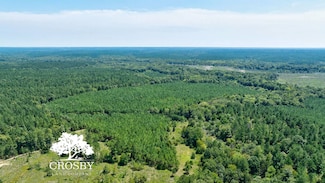 TBD Jabez Poyner Rd, Carlton, GA 30627