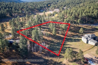 29999 Gigi Dr, Evergreen, CO 80439