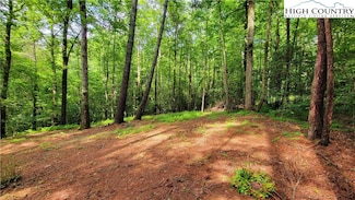 TBD Bewer Mill Road Lil Sandy Creek Rd, Traphill, NC 28685