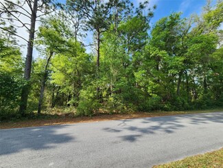 1 SW Anchor Blvd Unit 18, Rainbow Lakes Estates, FL 34431