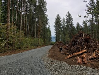 3 Yale Bridge Rd Unit 3, Ariel, WA 98603