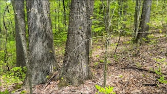 2309 Township Road 281, Bergholz, OH 43908