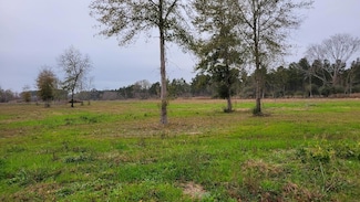 0 Tbd Hwy 27 Tract 4 Unit 26-4785, Deridder, LA 70634
