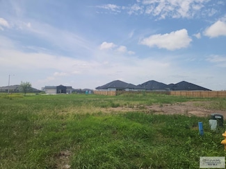 lot 29 Sylverter Palm Ct, Brownsville, TX 78526