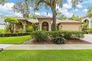 7219 Wareham Dr, Tampa, FL 33647