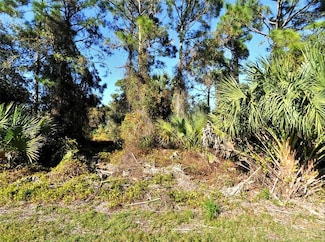 0 Renfro Ave Unit MFRC7506882, North Port, FL 34286