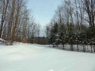 3374 Click Rd, Bear Creek Township, MI 49770