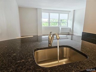 210 N 17th St Unit 309, Saint Louis, MO 63103