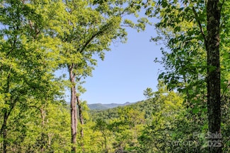 TBD Richland Ridge Rd, Lake Toxaway, NC 28747