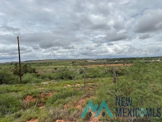 3890 Quay Road 62, TucuMcAri, NM 88401