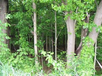 0 Lutz Rd, Three Rivers, MI 49093