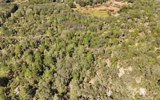 5430 Lone Pine Trail, Melrose, FL 32666