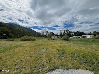 123 Streets Ln, Hampton, TN 37658