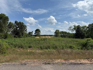 0 Hostdale Dr Unit 203806, Dothan, AL 36303