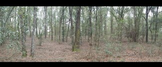 0 176th St, McAlpin, FL 32062