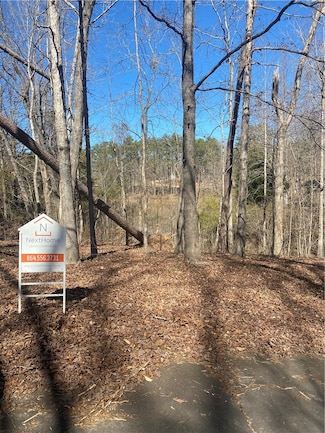 0 Springview Dr Unit 20283368, Westminister, SC 29693