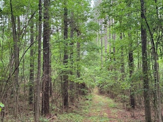 2780 Jackson Liberty Dr SW, Bogue Chitto, MS 39629