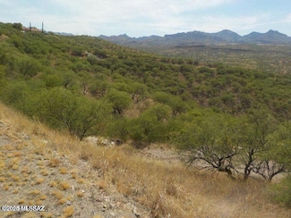 474 Camino Providencia Unit 133, Rio Rico, AZ 85648