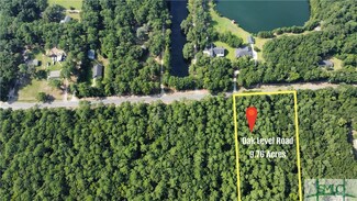 0 Oak Level Rd Unit 292488, Richmond Hill, GA 31324