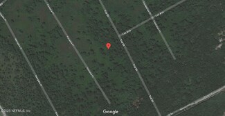 423 3rd St, Satsuma, FL 32189