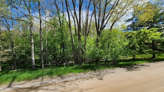 12095 Hudson Bay Dr, Canadian Lakes, MI 49346