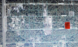TBD NE 234th Place Unit ROAD  14, Fort McCoy, FL 32134