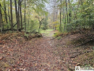 0 Gurnsey Hollow Rd Unit R1575428, South Valley, NY 14738