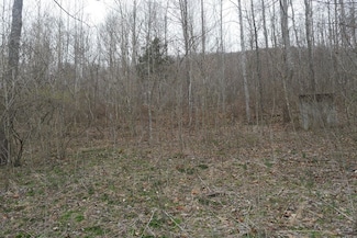 Tbd Old Mill Rd Unit LotWP001, Glade Spring, VA 24340