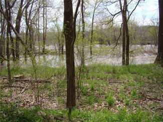 369Acres Bobwhite Rd, Crocker, MO 65452