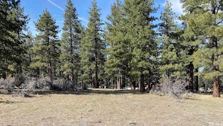 4300 Meadow Wood Rd, Carson City, NV 89703