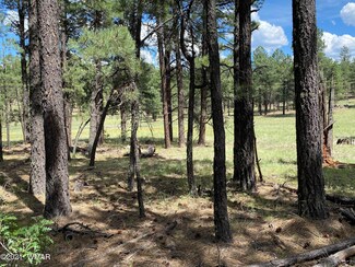 5 Cr N2121, Alpine, AZ 85920