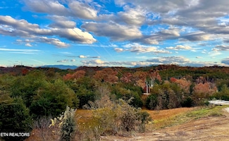 841 Guffy Hollow Rd, Sevierville, TN 37876