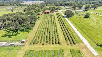 6205 Bethlehem Rd, Mulberry, FL 33860