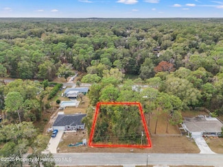 3474 S Dayton Terrace, Inverness Highlands South, FL 34452