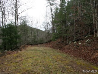 42 Munday Rd, Elizabeth, WV 26180