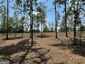 LOT 3 Happy Hollow Rd, Roopville, GA 30170