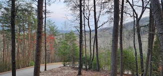 34 Wilderness Creek Way, Murphy, NC 28906