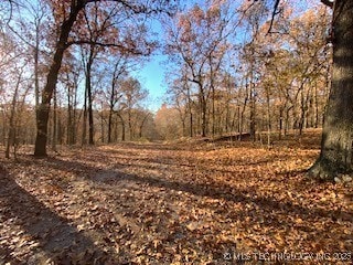 0 Oak Ridge Ln, Spavinaw, OK 74366