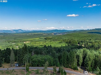 0 S Silver Lake Lot #4 Rd, Castle Rock, WA 98611