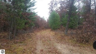 16750 Poder Dr, Marion, MI 49665