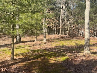 4007 S Riverview Dr, Newfield Township, MI 49421