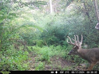 0 Seven Islands Rd Unit 22542755, Madison, GA 30650