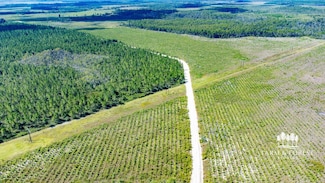 XX5 Highway 22, Wewahitchka, FL 32465