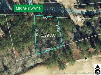 326 Micahs Way N, Spring Lake, NC 28390