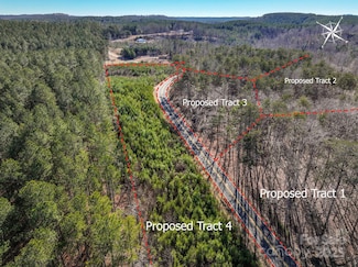 3 & 4 Polk County Line Rd, Mill Spring, NC 28756