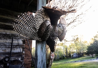 3180 Old Grand Junction Ln, Grand Junction, TN 38039