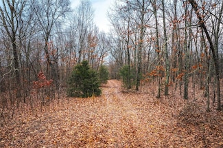 0 Christy Mine Rd, Bourbon, MO 65441