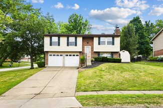 2630 Maple Tree Ct, Cincinnati, OH 45236