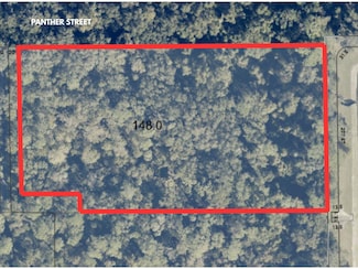 0 Panther St, Oviedo, FL 32765